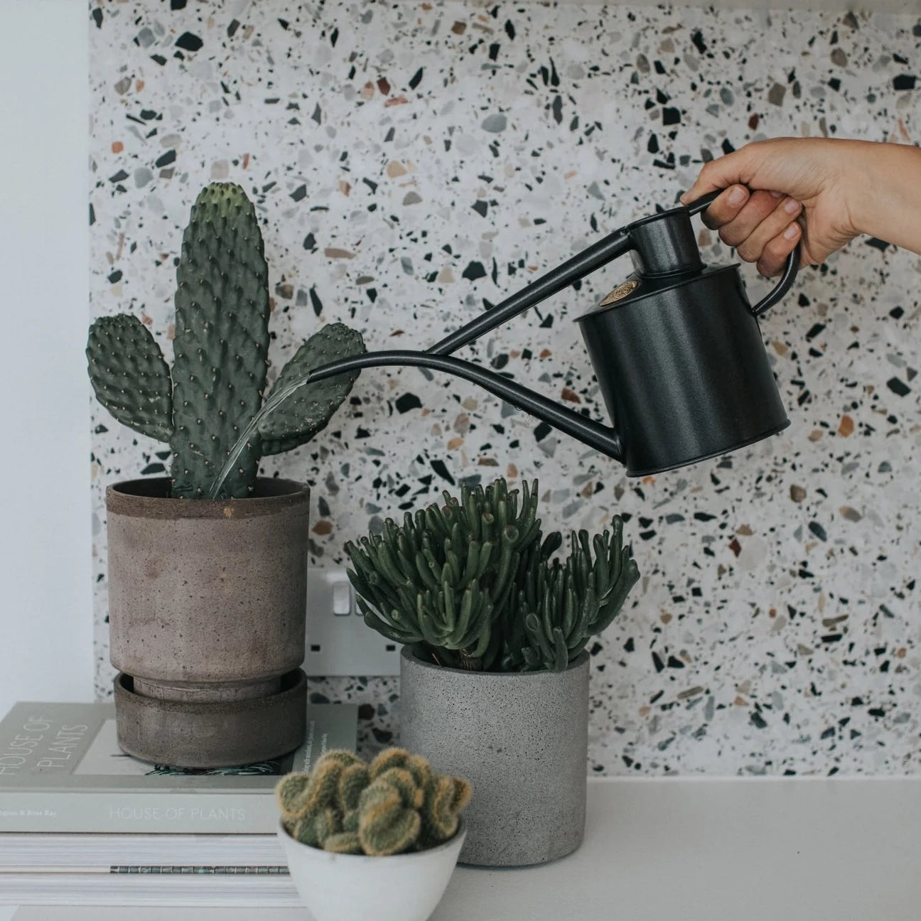 Fazeley Flow (Two Pint)