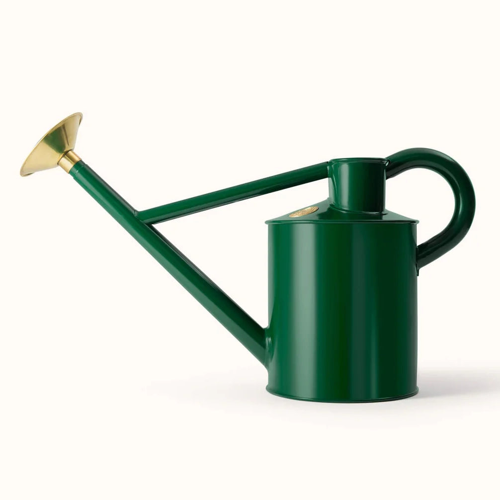 Bearwood Brook (One Gallon)