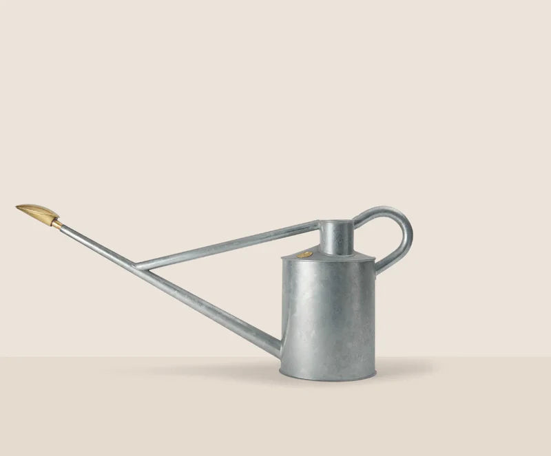 Warley Fall (One Gallon)