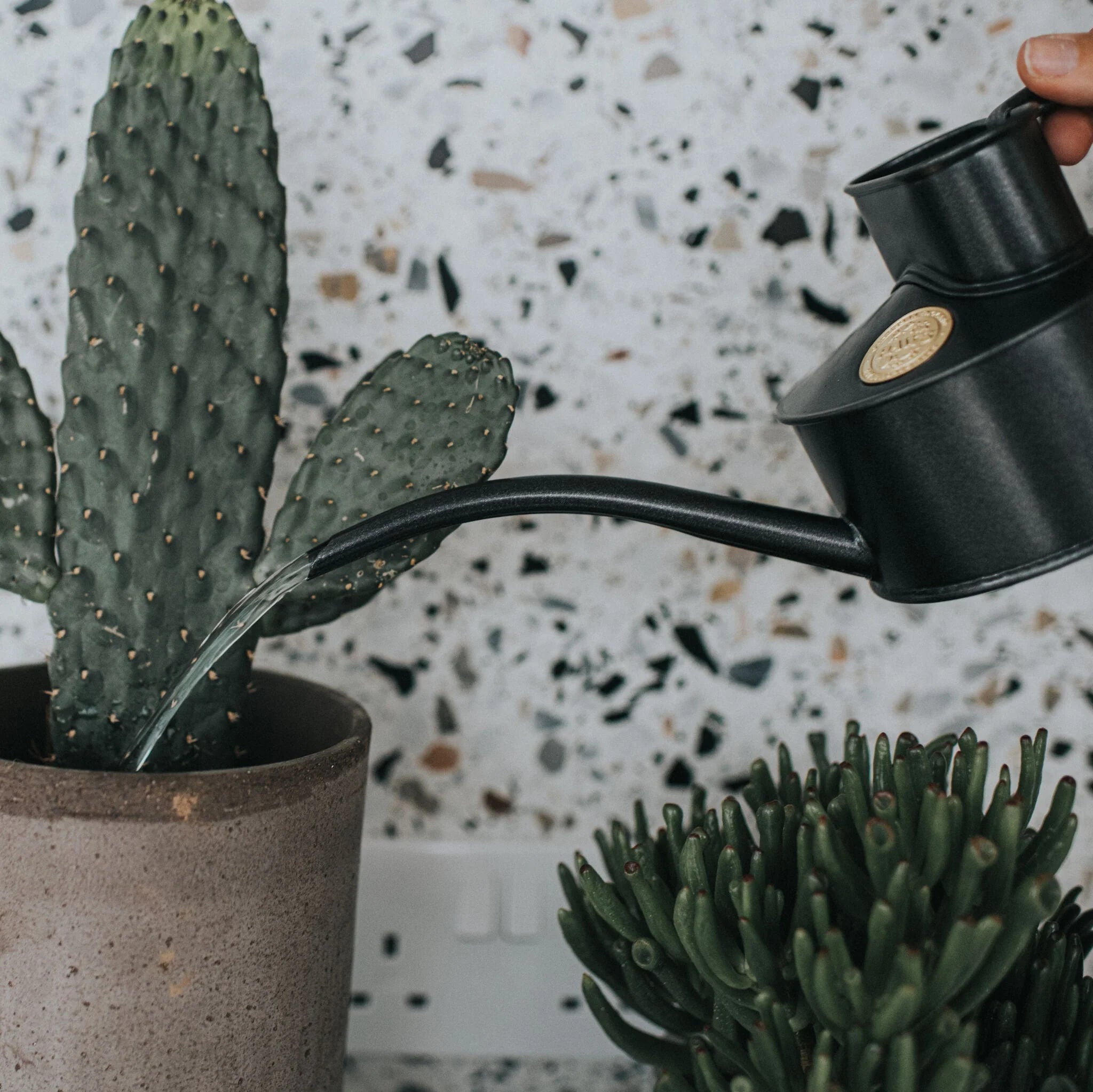 Fazeley Flow (One Pint)