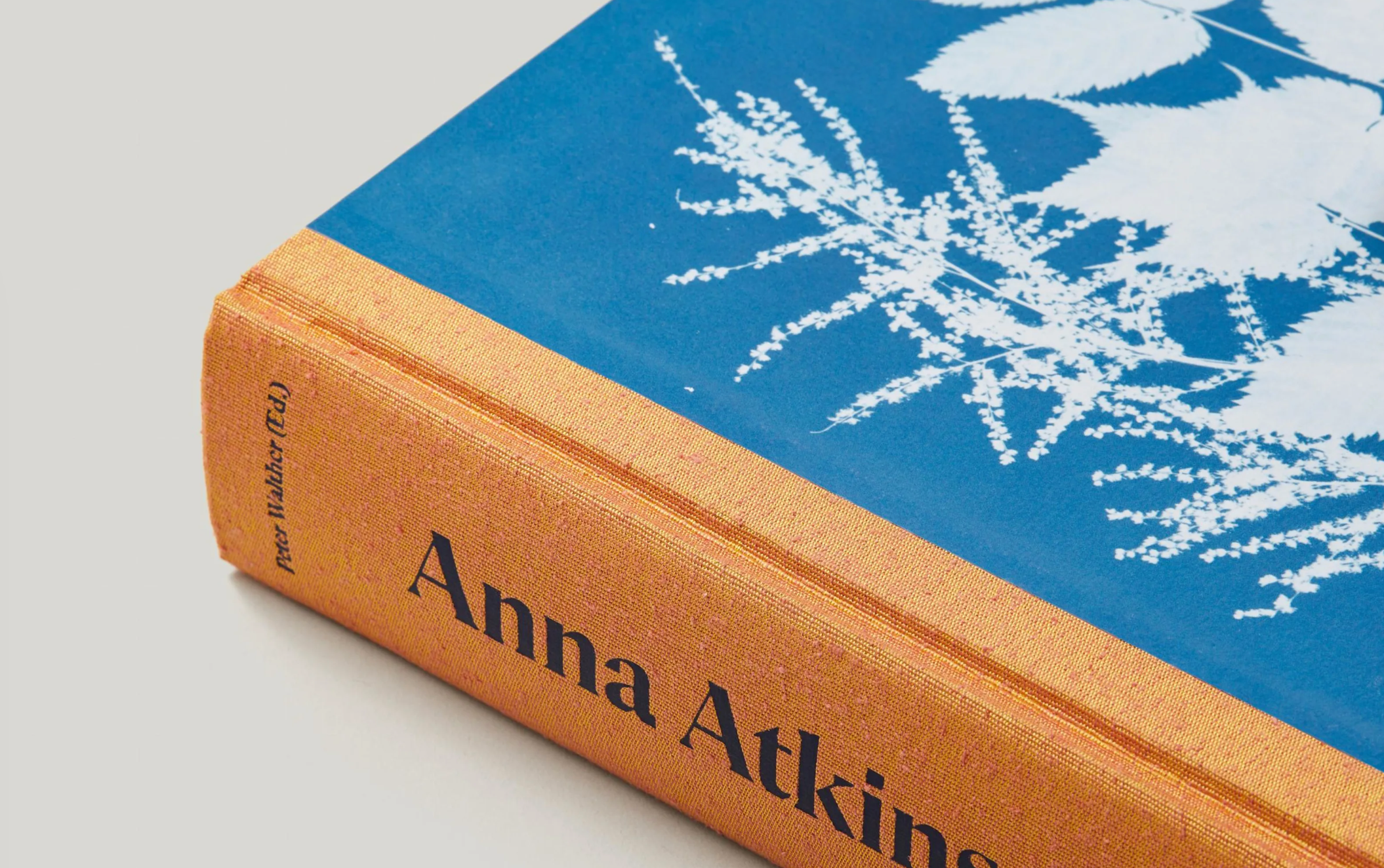 Cyanotypes by Anna Atkins